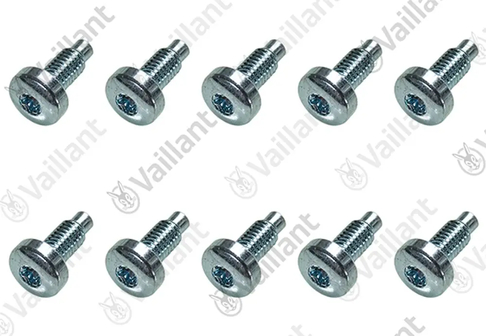 Vaillant Schrauben in Metalloptik, zehn Stück. Die Schrauben sind mit einem Innensechskant versehen und haben einen flachen Kopf.